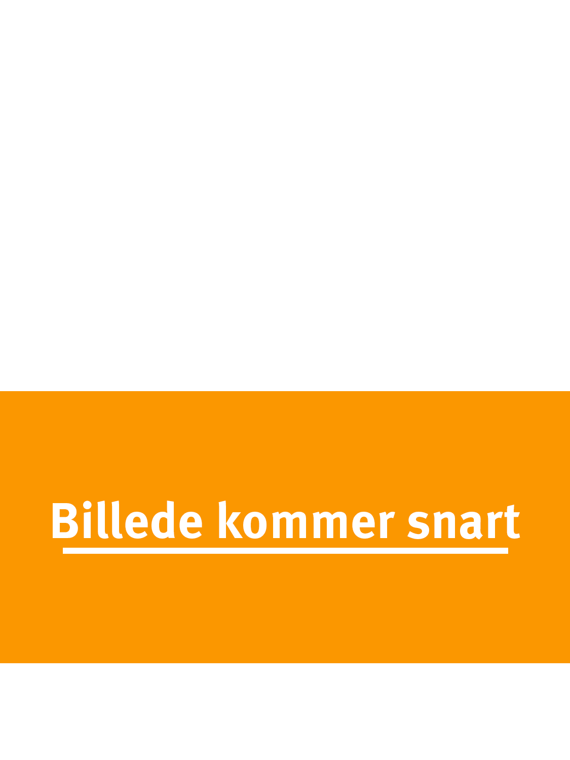Billede: Carsten Sørensen